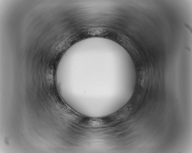 X0000102250510200808151820