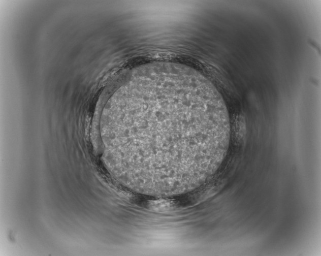 X0000102250511200808151820