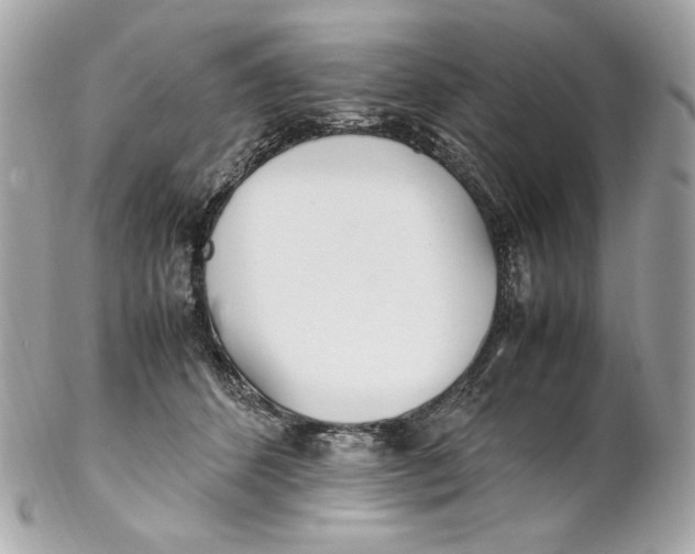 X0000102250512200808151820