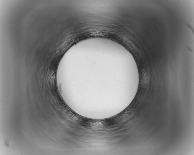 X0000102250513200808151820