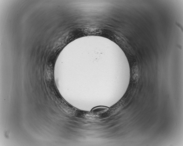 X0000102250515200808151820