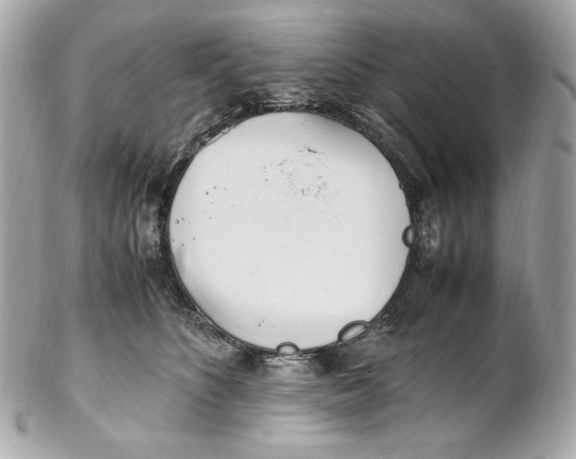 X0000102250516200808151820