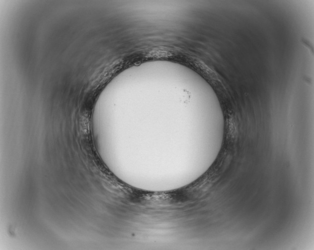 X0000102250517200808151820