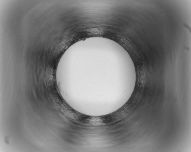 X0000102250518200808151820