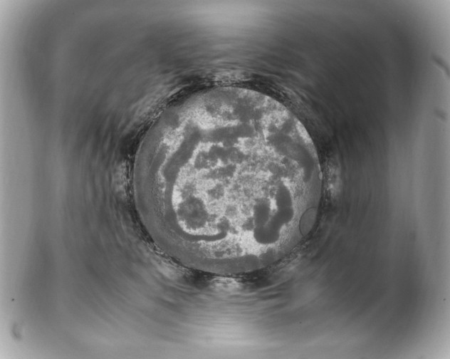 X0000102250519200808151820