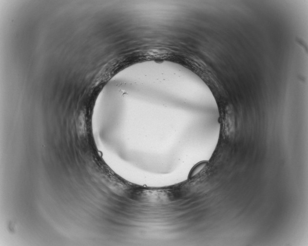 X0000102250520200808151820