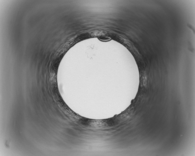 X0000102250521200808151820