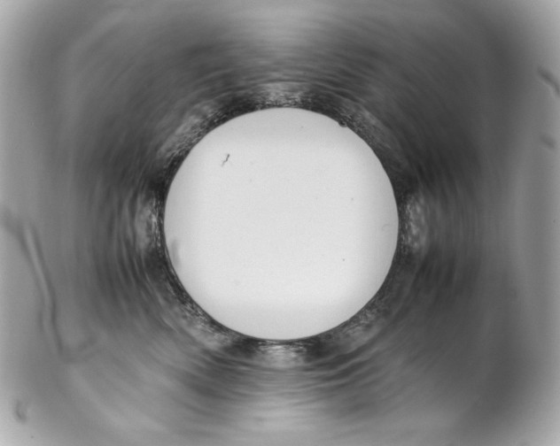 X0000102250522200808151820