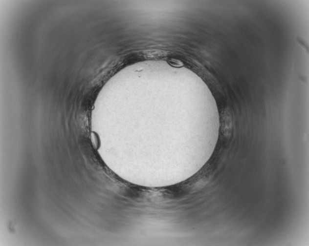 X0000102250523200808151820