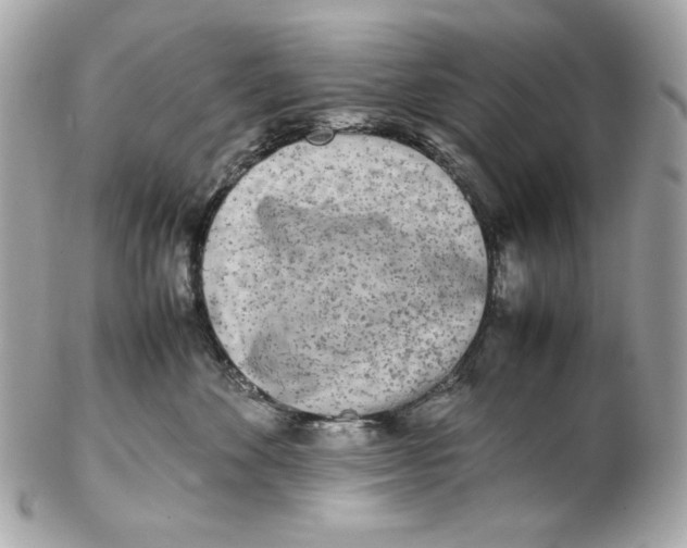 X0000102250524200808151820