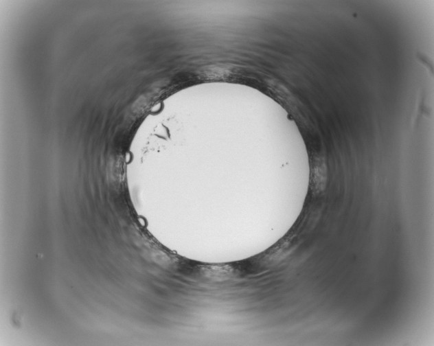 X0000102250525200808151820