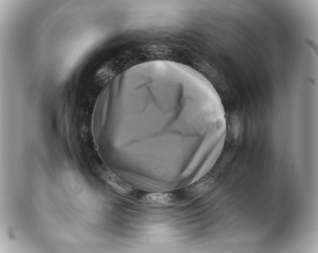 X0000102250526200808151820