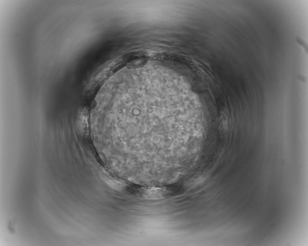 X0000102250527200808151820