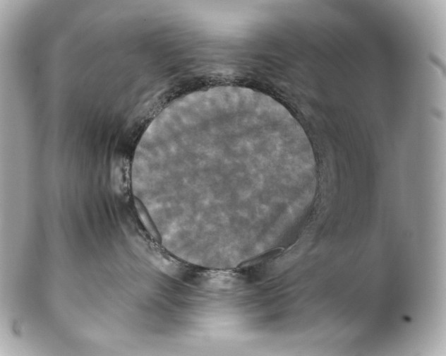 X0000102250528200808151820