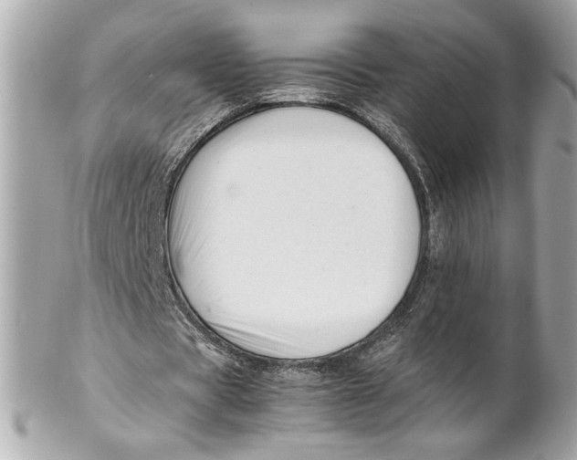 X0000102250529200808151819