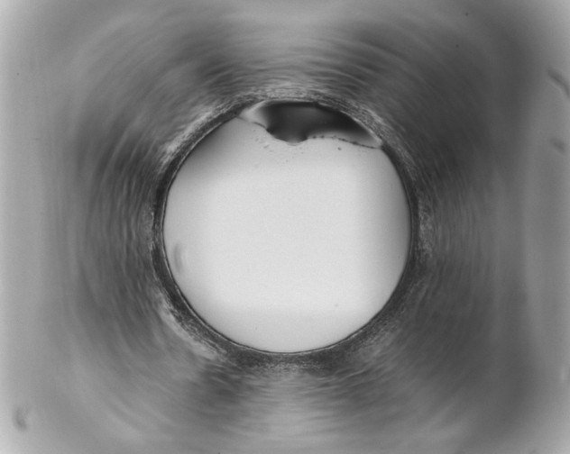 X0000102250530200808151819