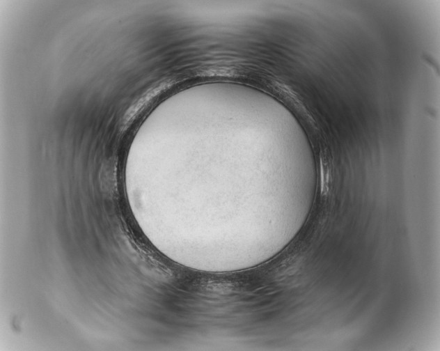 X0000102250531200808151819