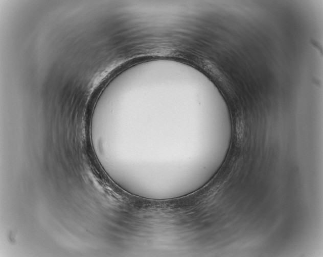 X0000102250532200808151819