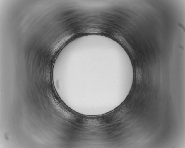 X0000102250533200808151819