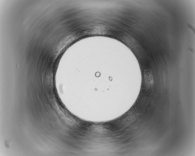 X0000102250534200808151819