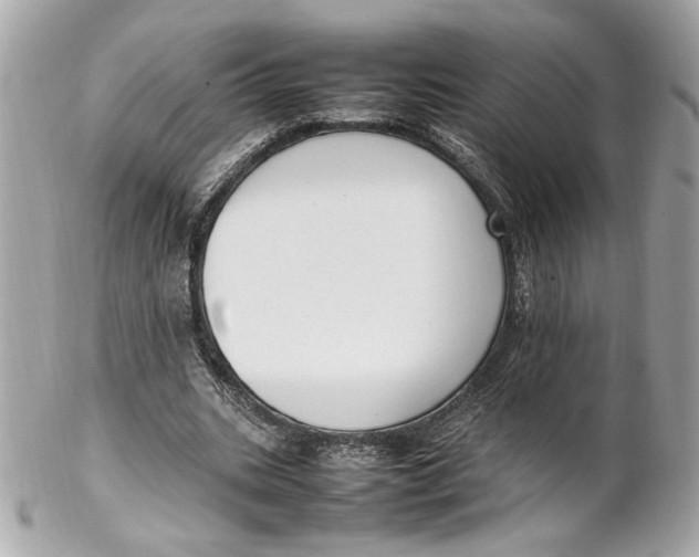 X0000102250535200808151819