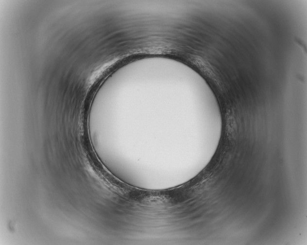 X0000102250536200808151819