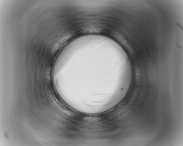 X0000102250537200808151819