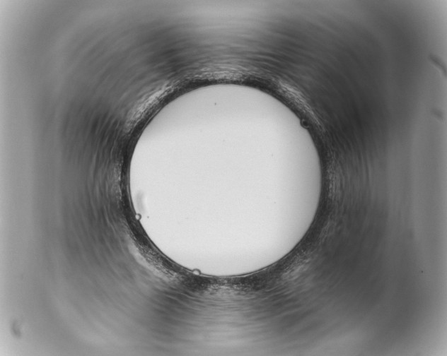 X0000102250538200808151819