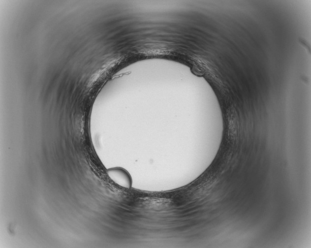 X0000102250539200808151819