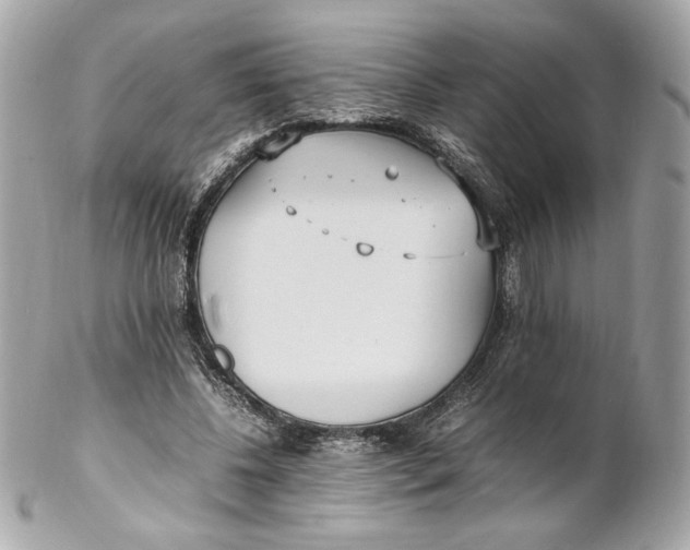 X0000102250540200808151819