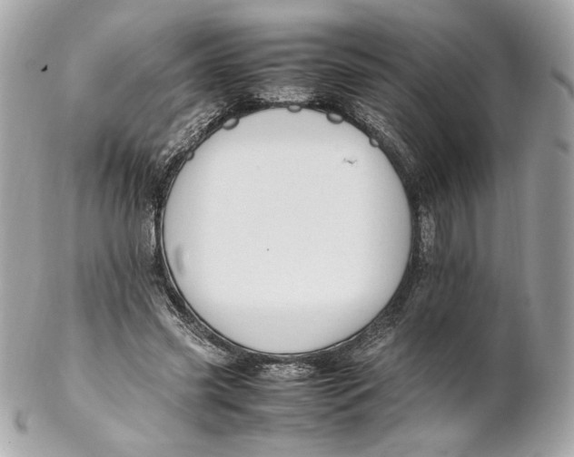 X0000102250541200808151819