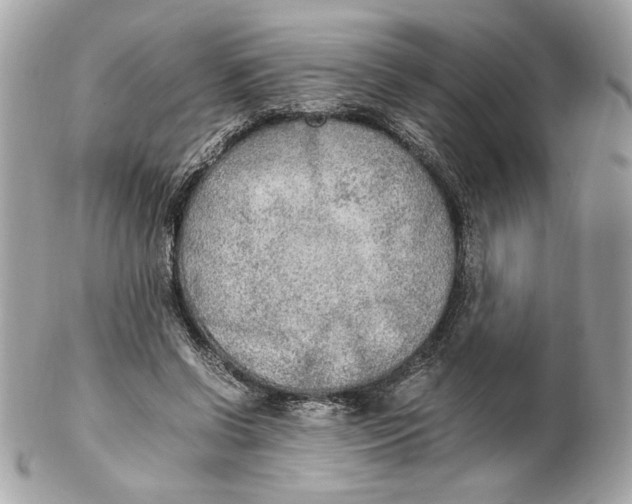 X0000102250542200808151819