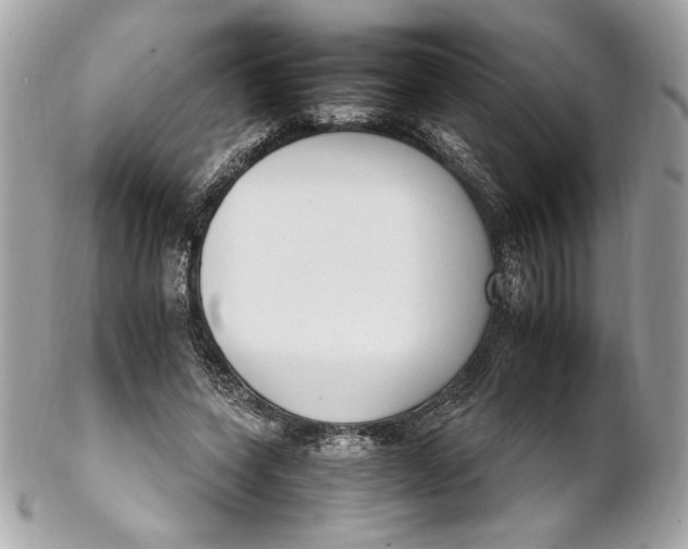 X0000102250543200808151819