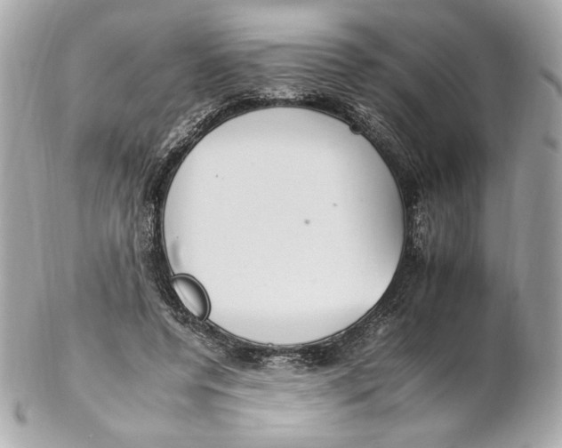 X0000102250544200808151819