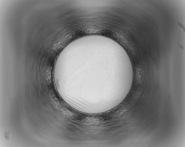 X0000102250545200808151819