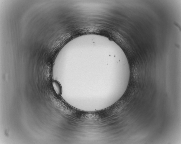 X0000102250546200808151819