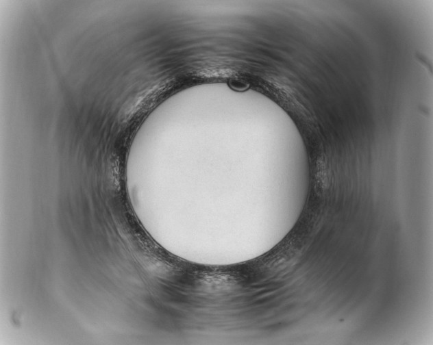 X0000102250547200808151819