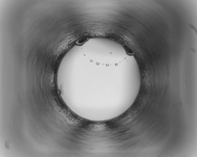 X0000102250548200808151819