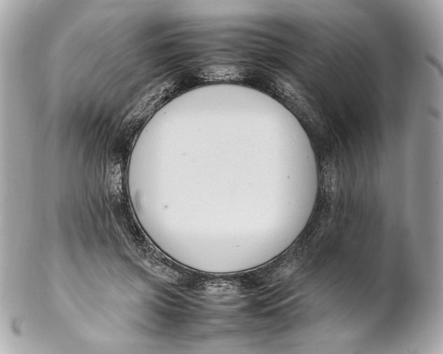 X0000102250549200808151819