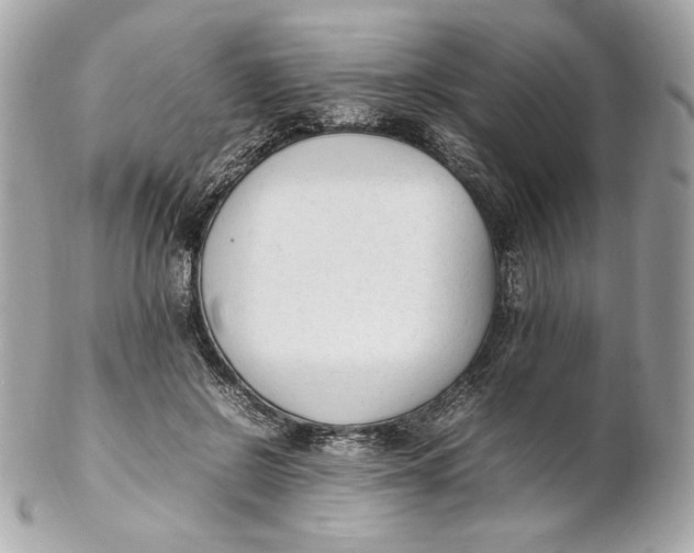 X0000102250550200808151819