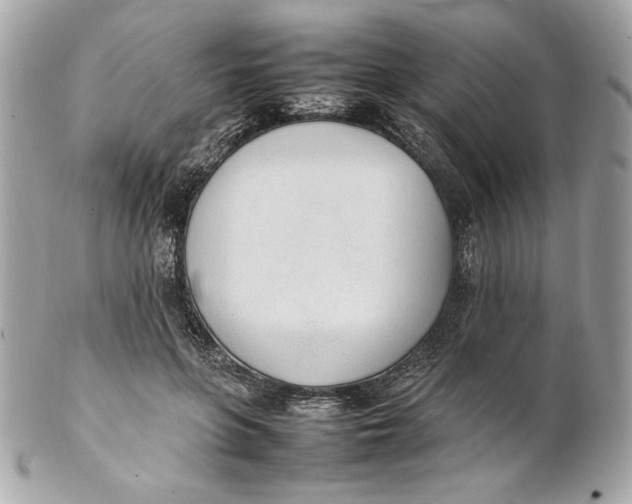 X0000102250551200808151819