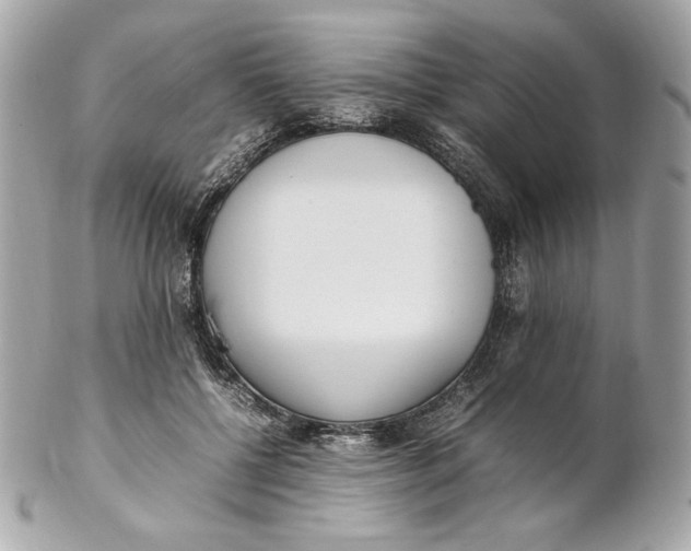 X0000102250552200808151819