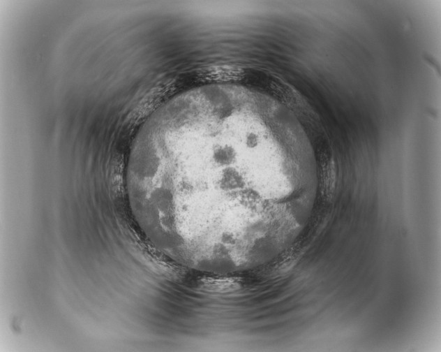 X0000102250553200808151819