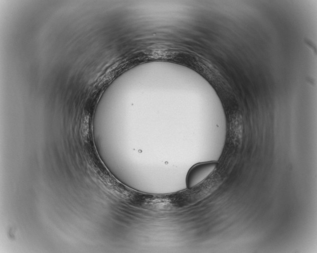 X0000102250554200808151819