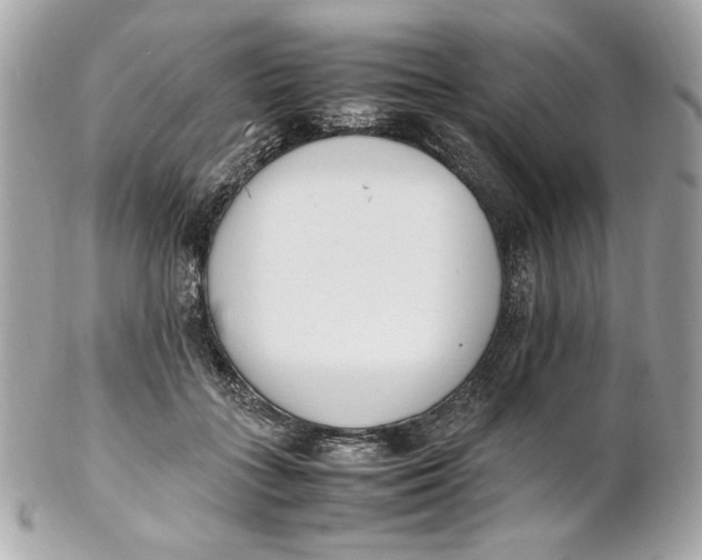 X0000102250555200808151819