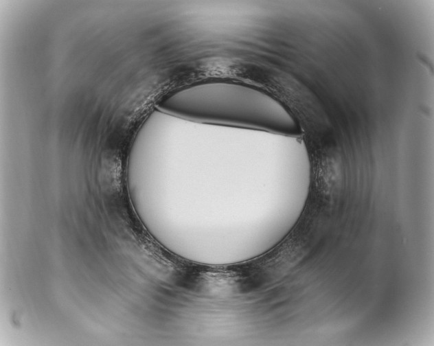 X0000102250556200808151819