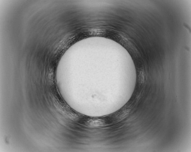 X0000102250557200808151819