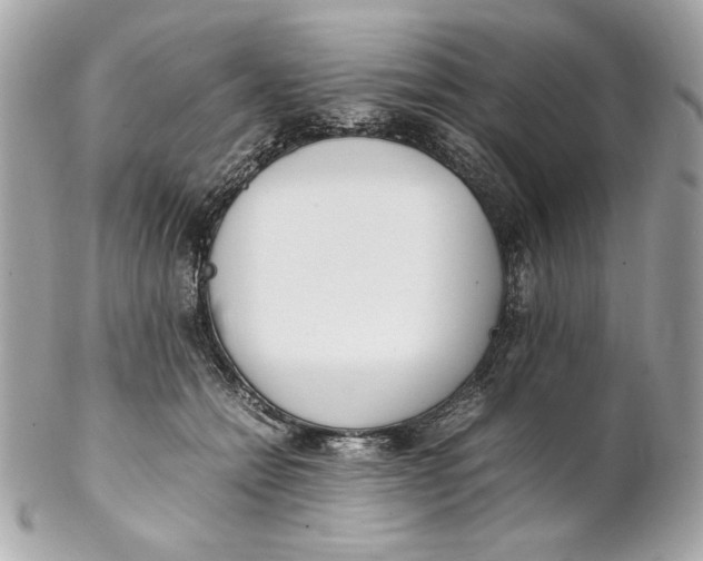 X0000102250558200808151819