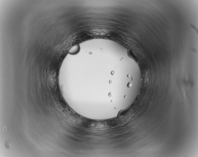 X0000102250559200808151819