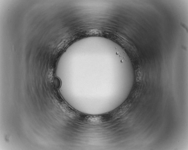 X0000102250560200808151819